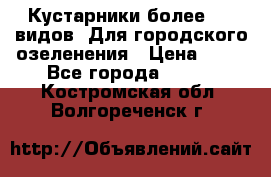 Кустарники более 100 видов. Для городского озеленения › Цена ­ 70 - Все города  »    . Костромская обл.,Волгореченск г.